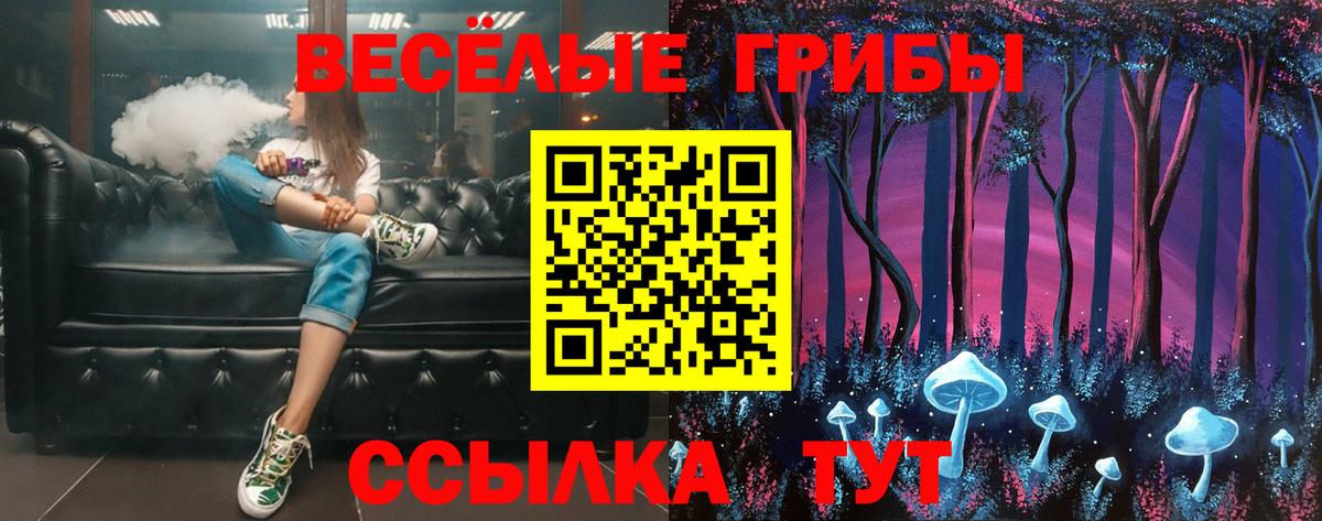 Галлюциногенные грибы ЛСД  Вход с VPN  Большой Камень 